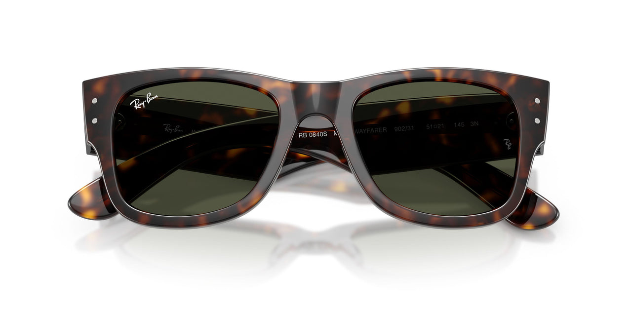 902/31 - Tortoise - Green