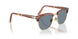 96/56 - Brown - Light Blue