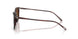 1818AN - Brown - Terra Polarized