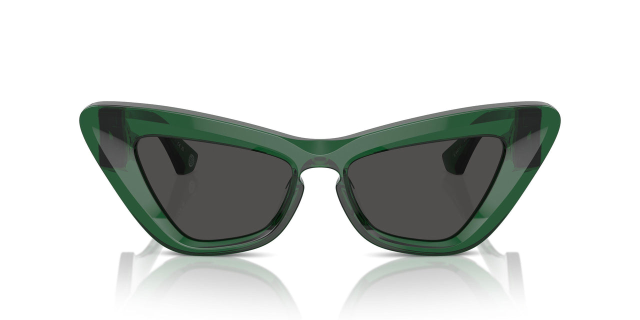 410487 - Green - Dark Grey
