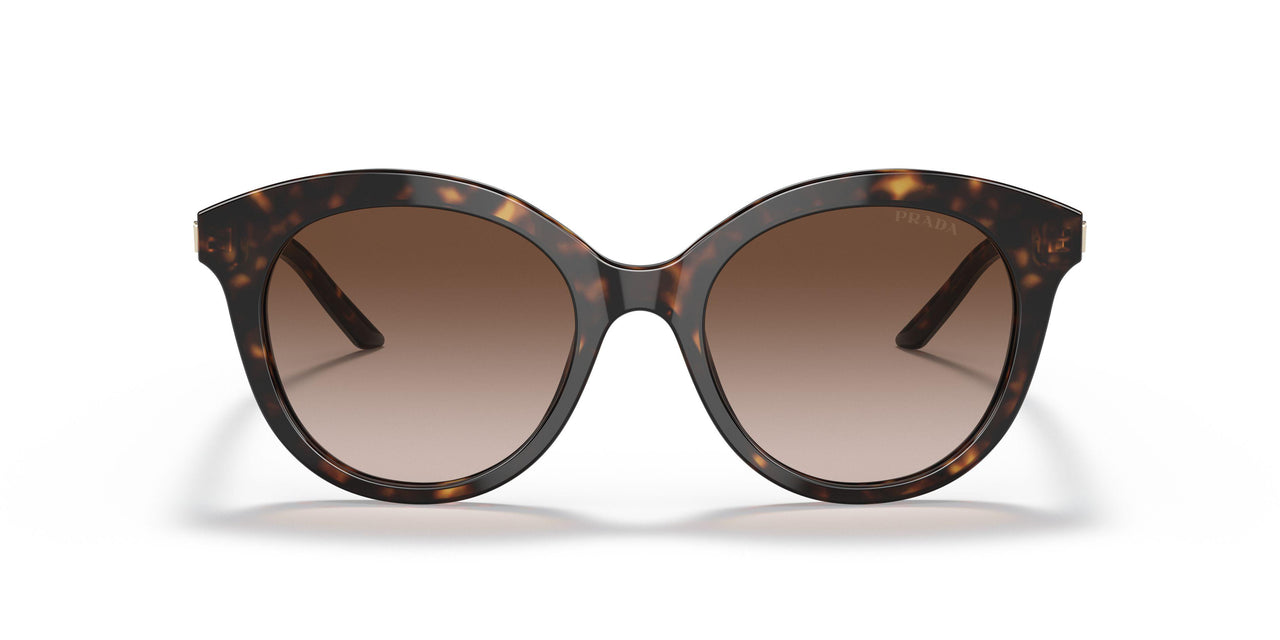 2AU6S1 - Havana - Brown Gradient