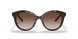 2AU6S1 - Havana - Brown Gradient