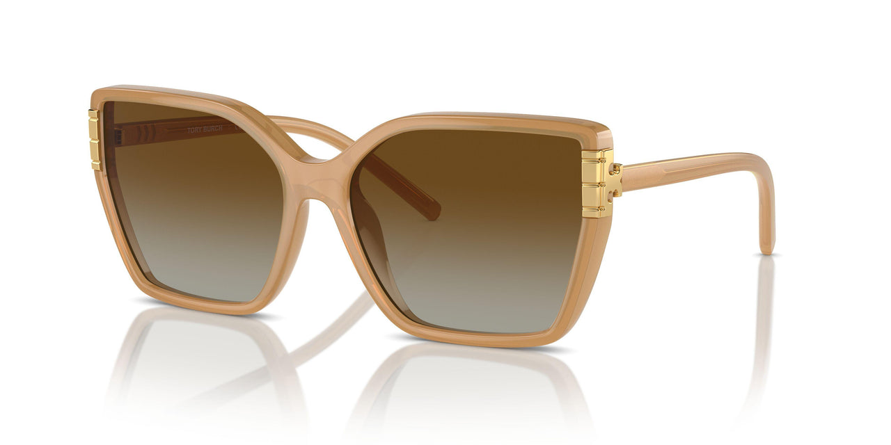 1965T5 - Brown - Brown Polarized