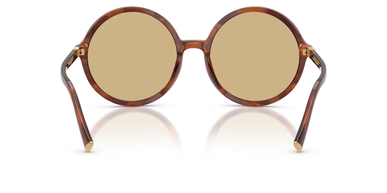 26E10R - Brown - Yellow