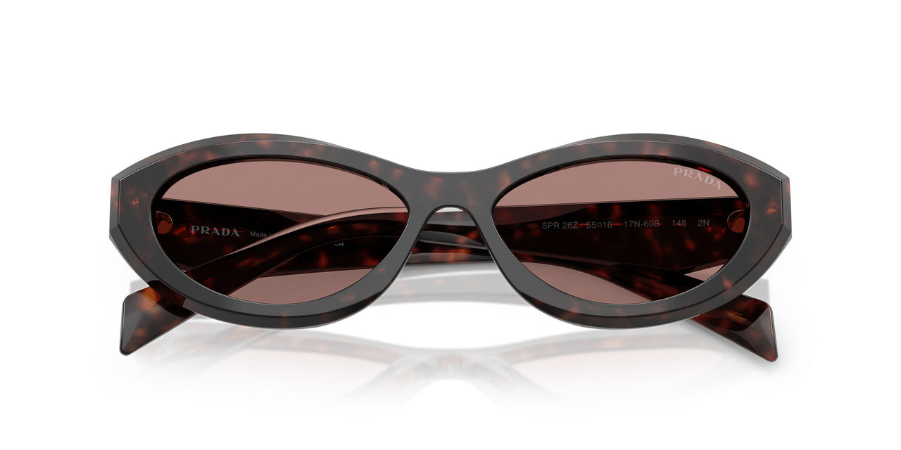17N60B - Tortoise - Light Brown