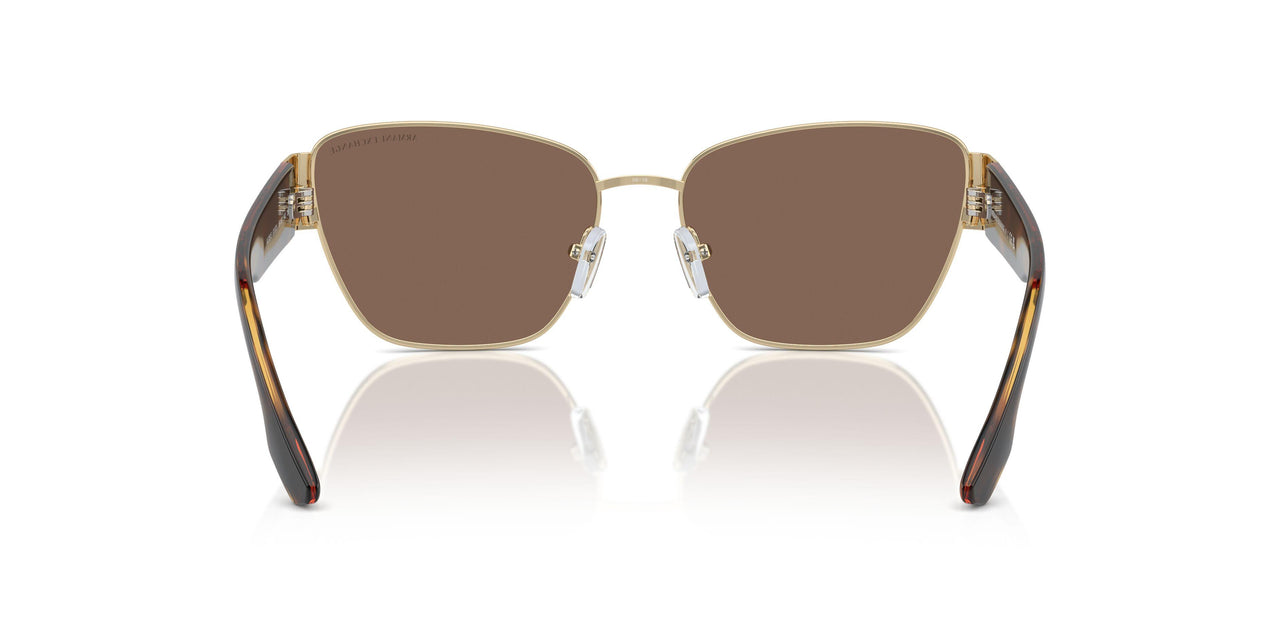 611073 - Gold - Dark Brown