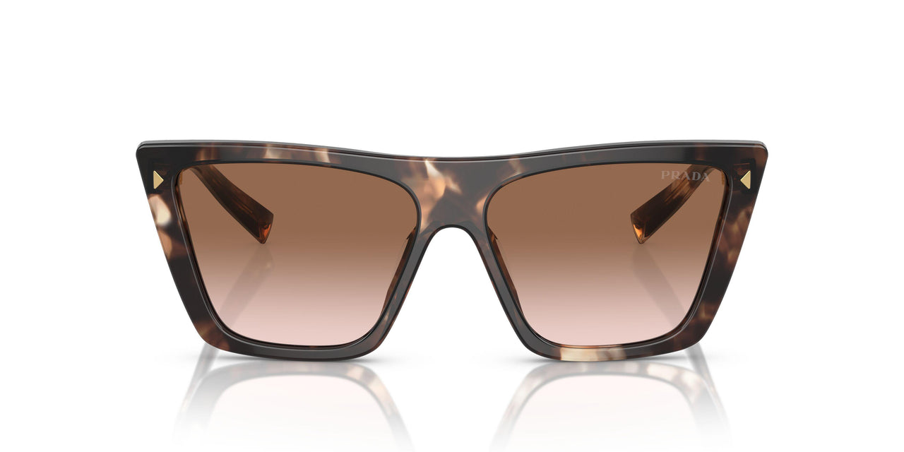 07R0A6 - Tortoise - Brown Gradient