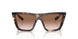 07R0A6 - Tortoise - Brown Gradient