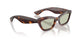 10072 - Tortoise - Green Wash
