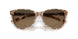 201211 - Tortoise - Copper Gradient