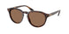 613773 - Tortoise - Dark Brown