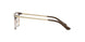 1916 - Top Light Havana/Transparent