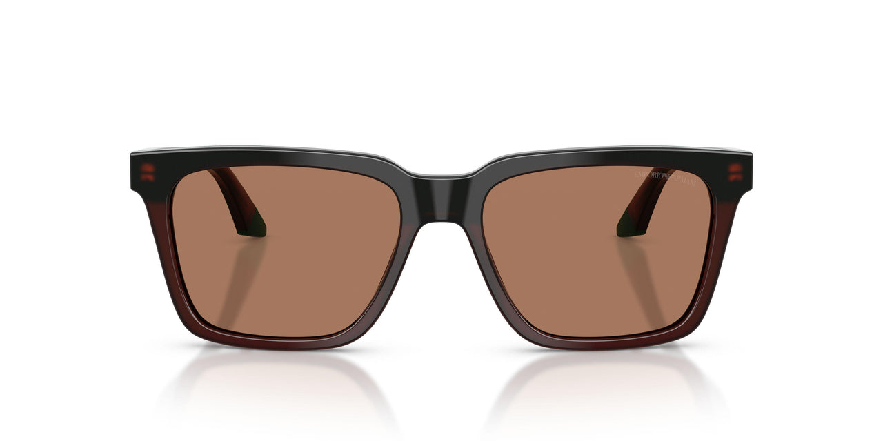 631573 - Brown - Brown