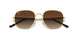 001/13 - Gold - Gradient Brown