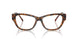 2050 - Brown