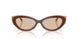 510593 - Brown - Light Brown