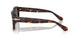 24/B1 - Tortoise - Dark Grey