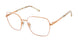 Buffalo by David Bitton BW508 Eyeglasses