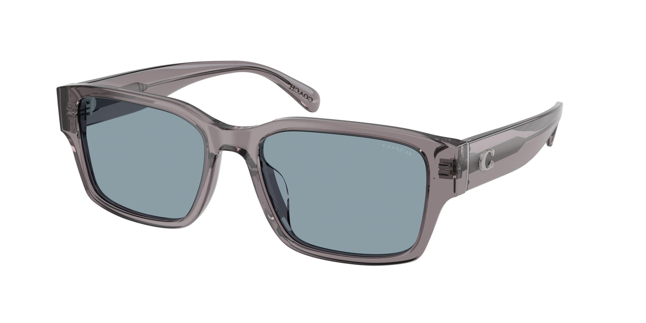 Coach Cby96 8441U Sunglasses