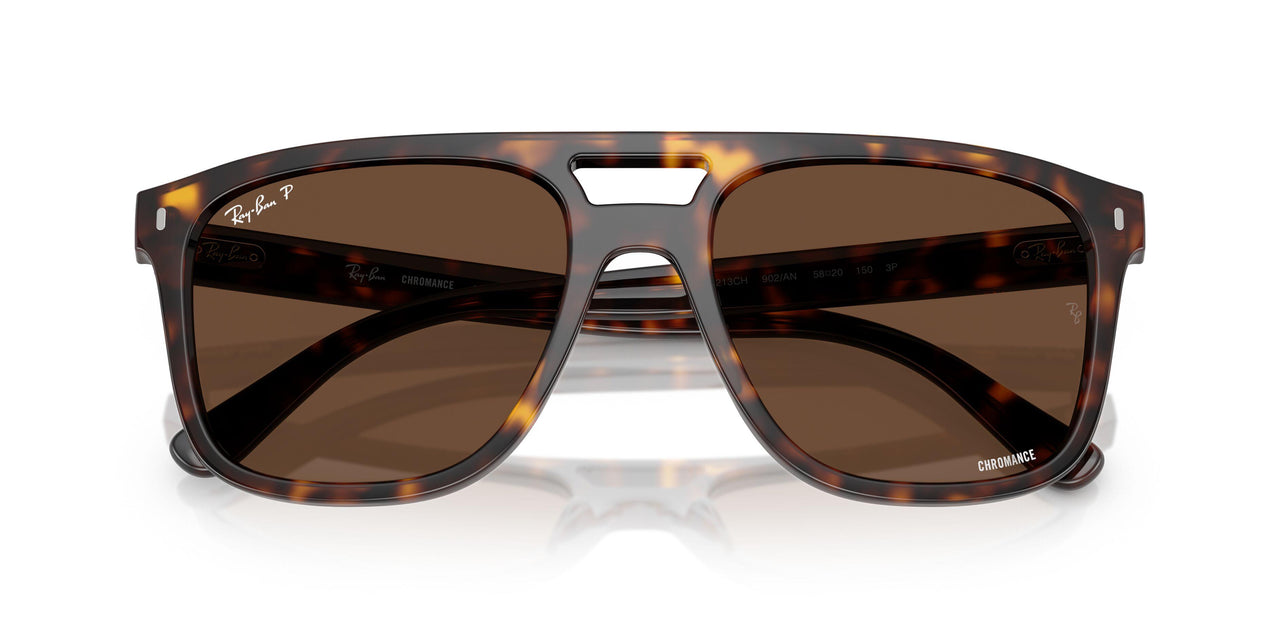 902/AN - Tortoise - Polar Brown