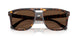 902/AN - Tortoise - Polar Brown