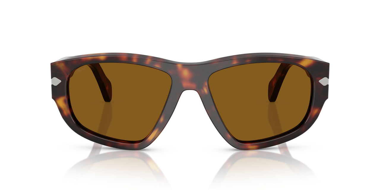 24/33 - Tortoise - Brown