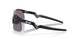 901001 - Black - Prizm Grey
