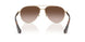 110913 - Gold - Brown Gradient