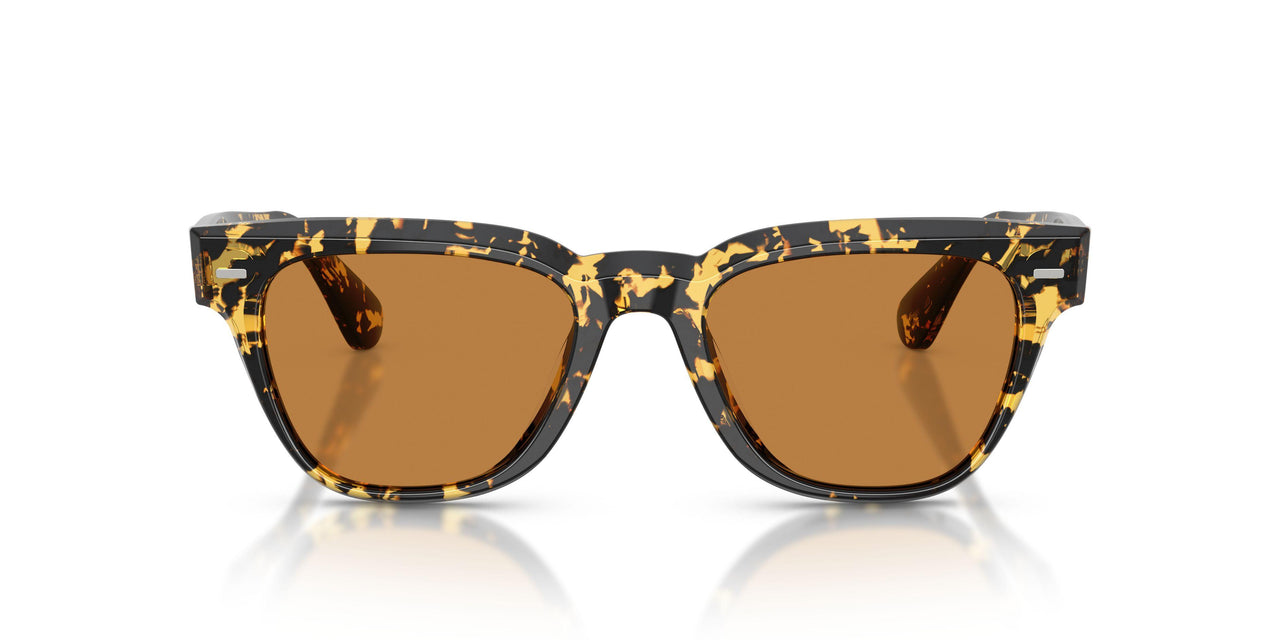 177853 - Tortoise - Cognac