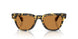 177853 - Tortoise - Cognac