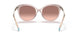 833413 - Pink - Pink Gradient Dark Brown