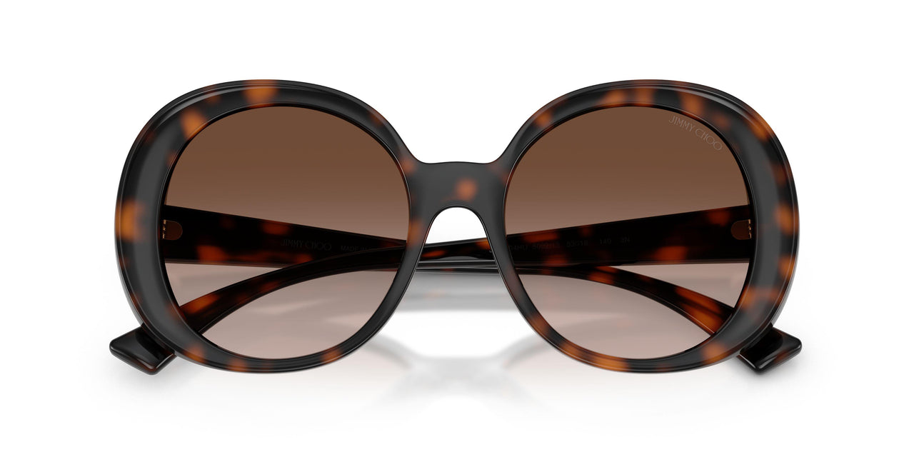 500213 - Tortoise - Brown Gradient