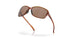 930108 - Prizm Black Polarized