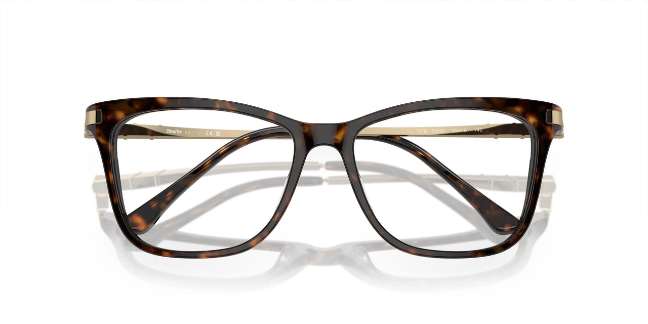 C543 - Tortoise