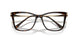 C543 - Tortoise