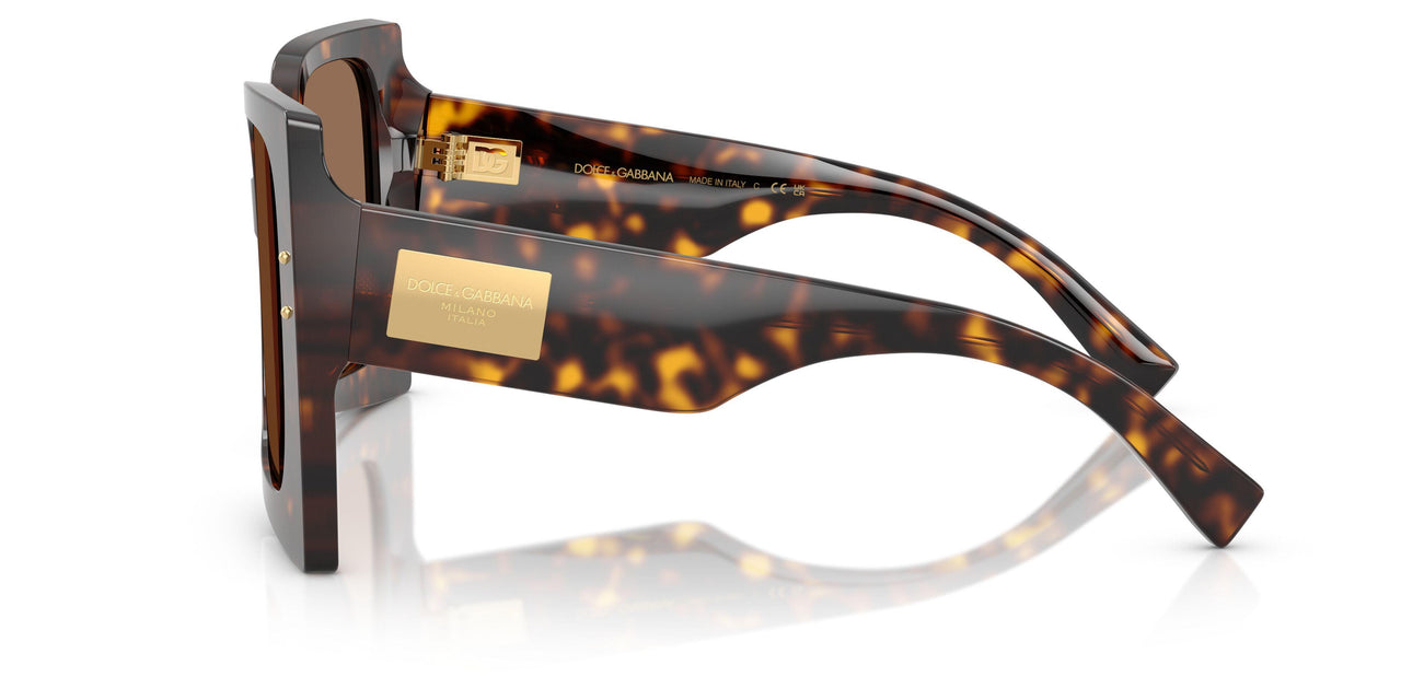 502/73 - Tortoise - Dark Brown
