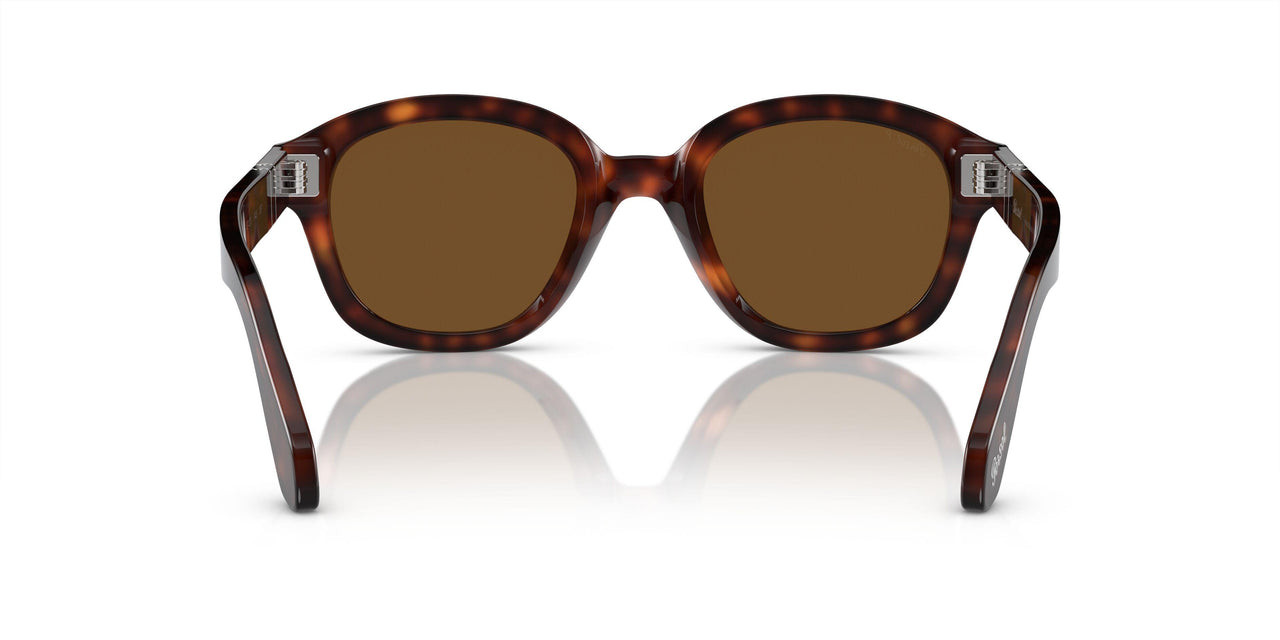 24/57 - Tortoise - Polarized Brown