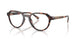 300613 - Tortoise - Smoke Gradient
