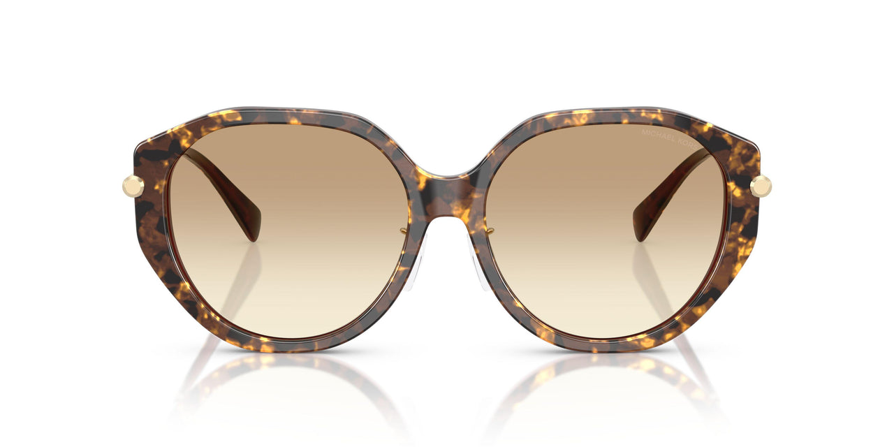 401613 - Brown - Brown Gradient