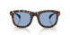 304880 - Tortoise - Solid Light Blue