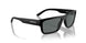 290081 - Black - Polarized Dark Grey