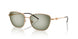 342713 - Brown - Green Gradient Green