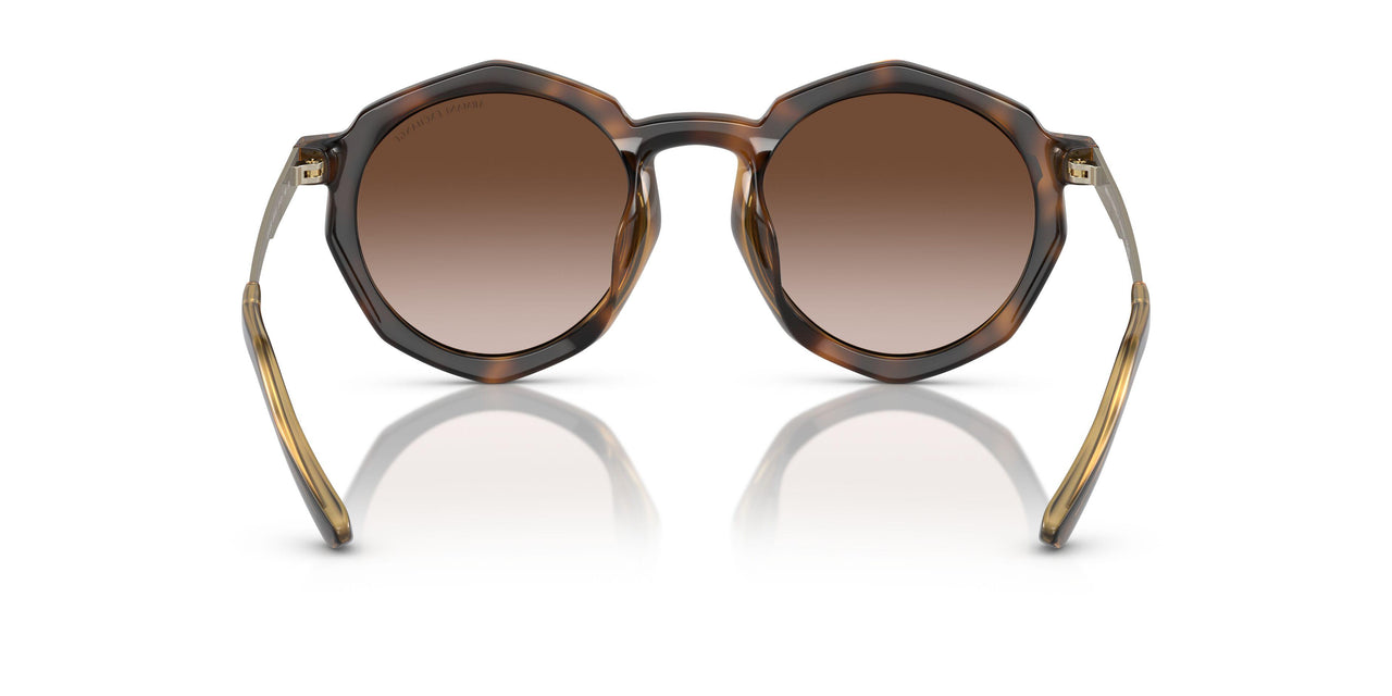 821313 - Tortoise - Gradient Brown