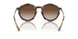 821313 - Tortoise - Gradient Brown