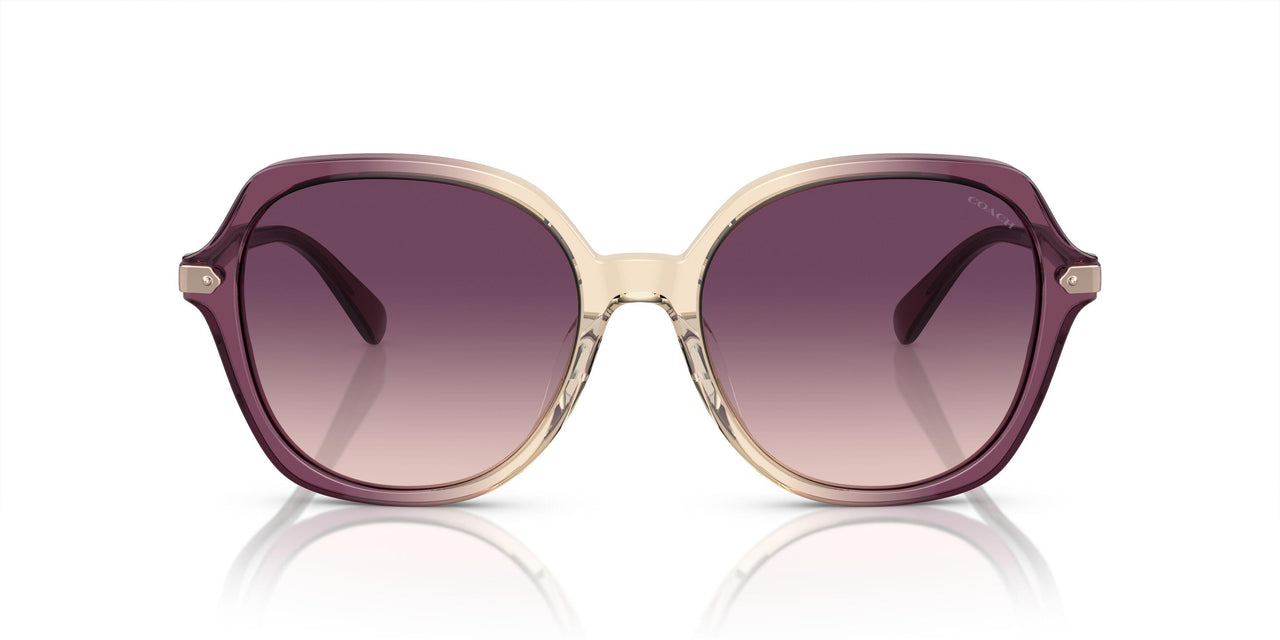 57737W - Multicolor - Purple Gradient