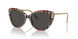 408787 - Brown - Dark Grey