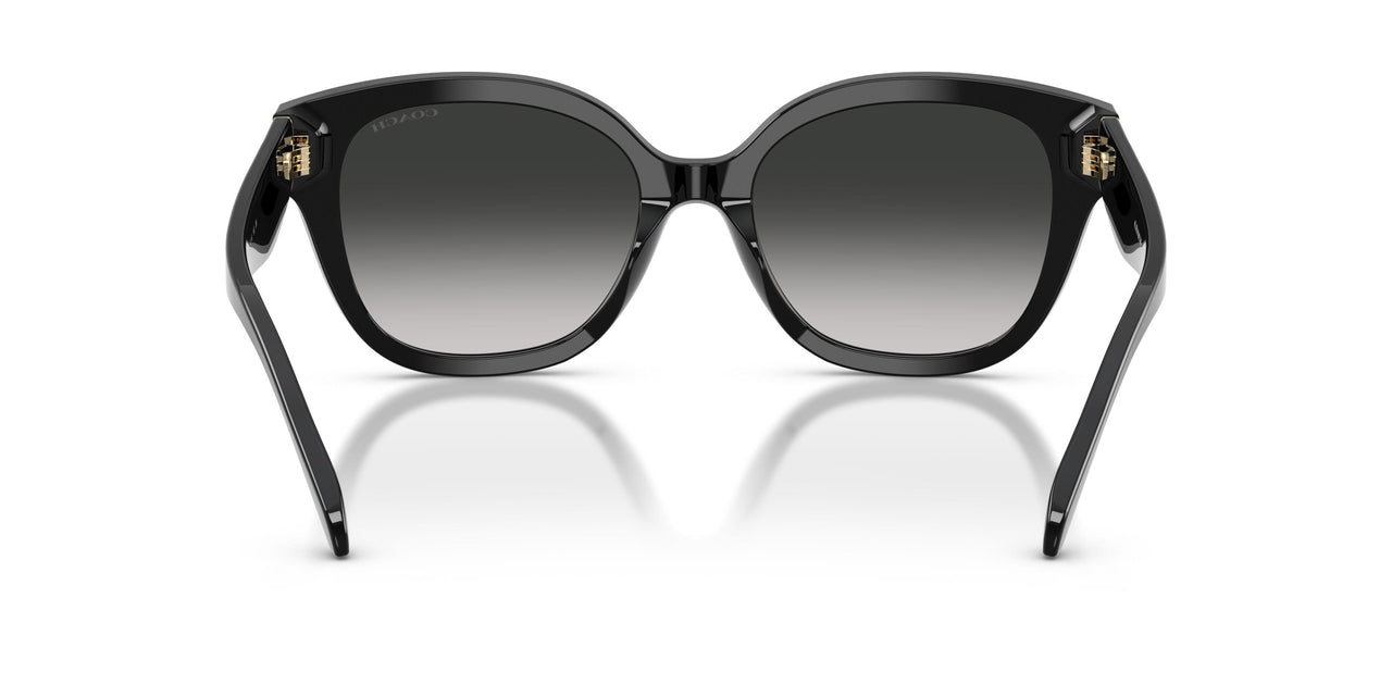 500287 - Black - Grey Gradient
