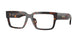 5509 - Tortoise