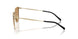 301313 - Gold - Gradient Brown
