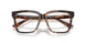 5002 - Tortoise